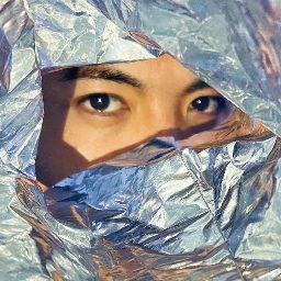摸鱼艺术家